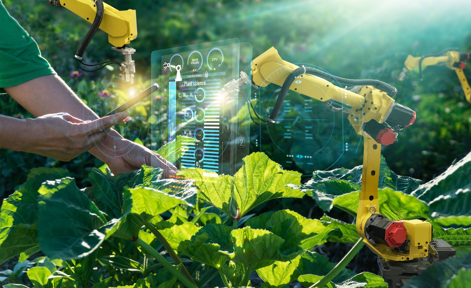 AI. Farmer use smartphone and robotics assistant. Pollinate of fruits and vegetables. Detection spray chemical. Leaf analysis  fertilization. Science. Agriculture farming technology concept.